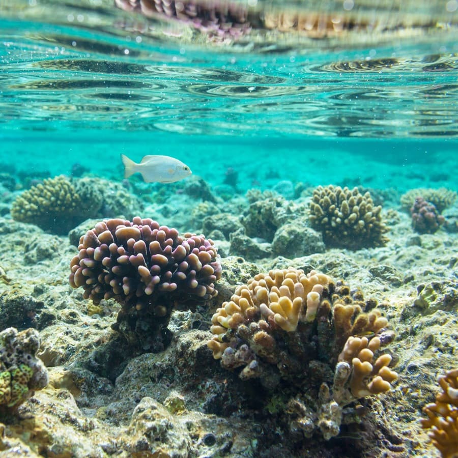 День 4: Грин-Тертл-Кей